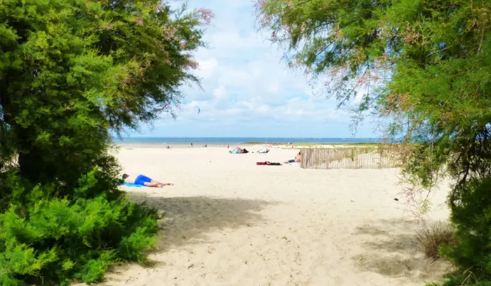 Camping - Gujan-Mestras - Aquitaine - Routes du Monde ATC-La Hume