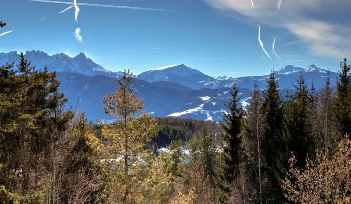 Camping - Renon - Trentin-Haut-Adige - Schartner Alm