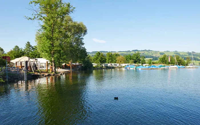 Camping - Sempach - Suisse centrale - Sempach TCS