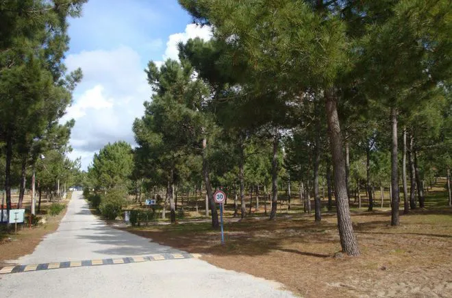 Camping - Vila Nova de Milfontes - Alentejo - Sitava Milfontes