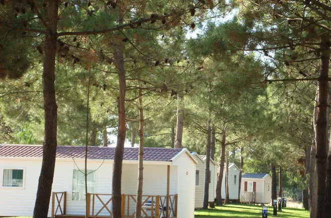 Camping - Vila Nova de Milfontes - Alentejo - Sitava Milfontes