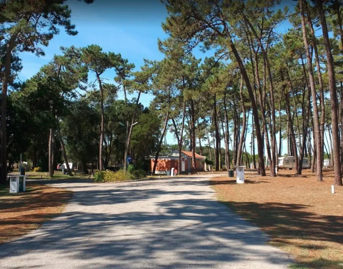 Camping - Aveiro - Centro - São Jacinto
