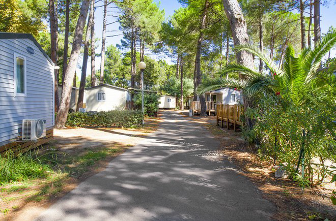 Camping - Argelès-sur-Mer - Languedoc-Roussillon - Taxo Les Pins - Image #7