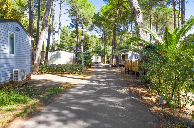 Camping - Argelès-sur-Mer - Languedoc-Roussillon - Taxo Les Pins
