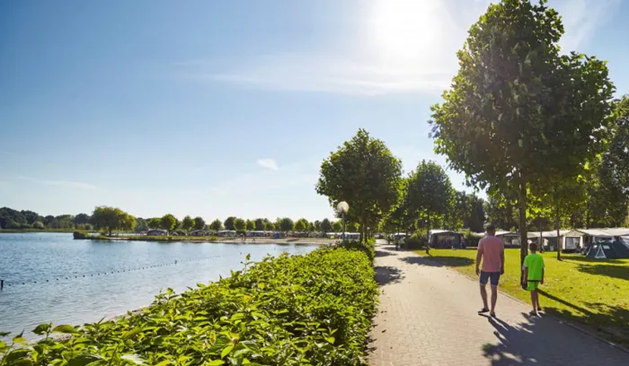 Camping - Eersel - Brabant-du-Nord - TerSpegelt