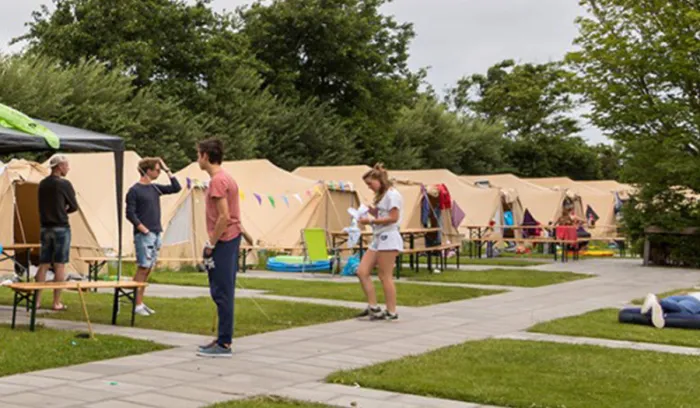 Camping - Midsland - Frise - Terpstra