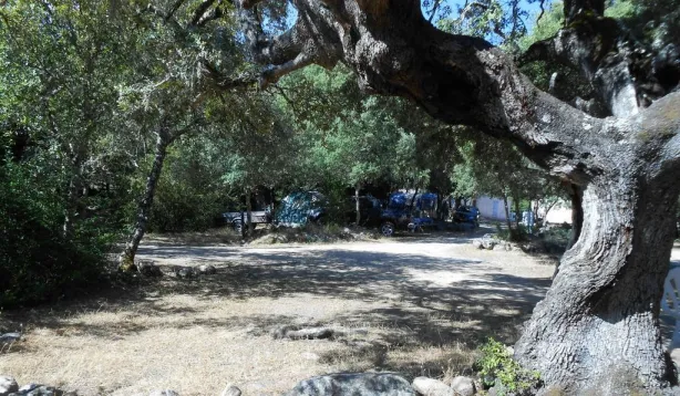 Camping - Moltifao - Corse - Tizarella