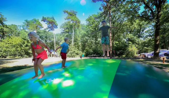 Camping - Doorn - Utrecht - Vakantiepark Bonte Vlucht