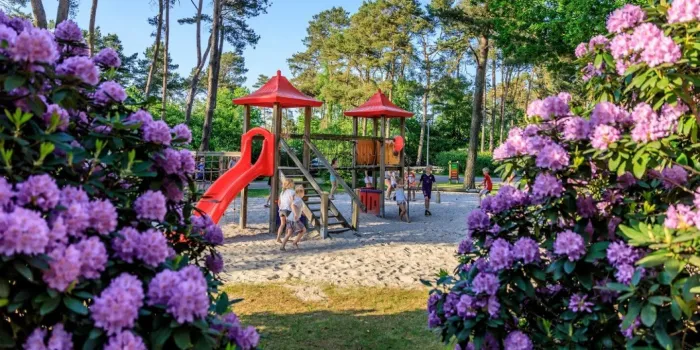 Camping - amen - Drenthe - Vakantiepark Diana Heide