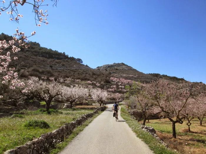 Camping - Campell - Communauté de Valence - Vall de Laguar
