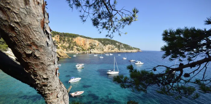 Camping - Bandol - Provence-Alpes-Côte d'Azur - Vallongue