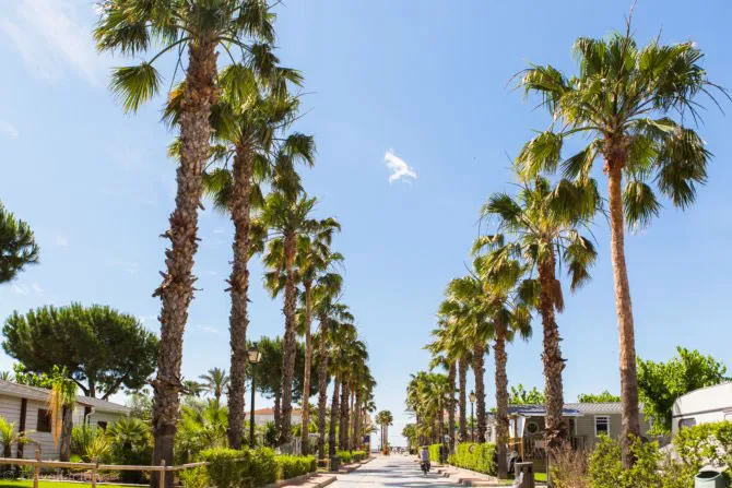 Camping - Coma-ruga - Costa Dorada - Vendrell Platja