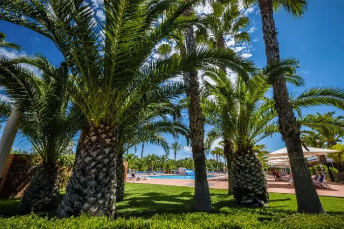 Camping - Coma-ruga - Costa Dorada - Vendrell Platja
