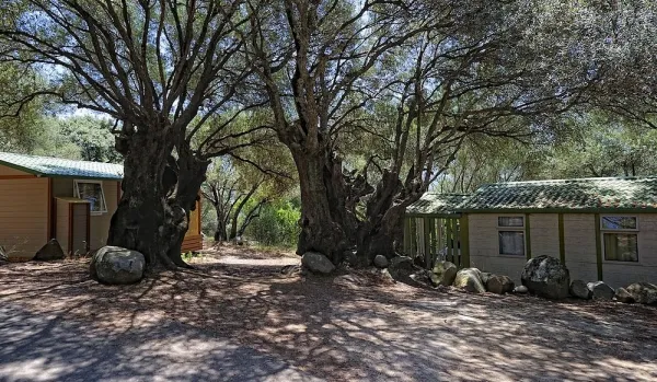Camping - Olmeto - Corse - Vigna Maggiore