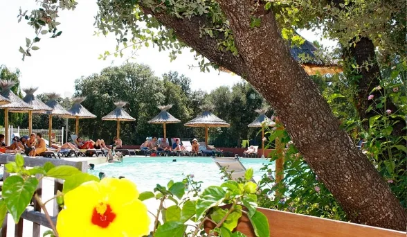 Camping - Olmeto - Corse - Vigna Maggiore
