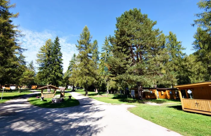 Camping - Bellamonte - Trentin-Haut-Adige - Village de Vacances Fiemme