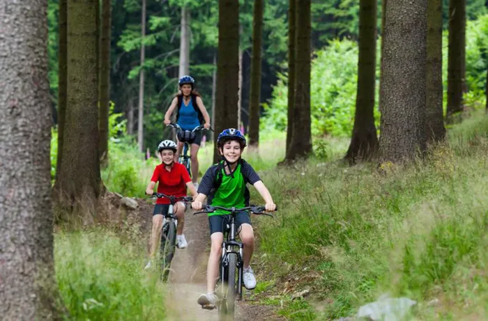Camping - Bellamonte - Trentin-Haut-Adige - Village de Vacances Fiemme