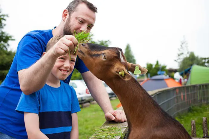 Camping - amsterdam - Hollande-Septentrionale - Zeeburg Amsterdam