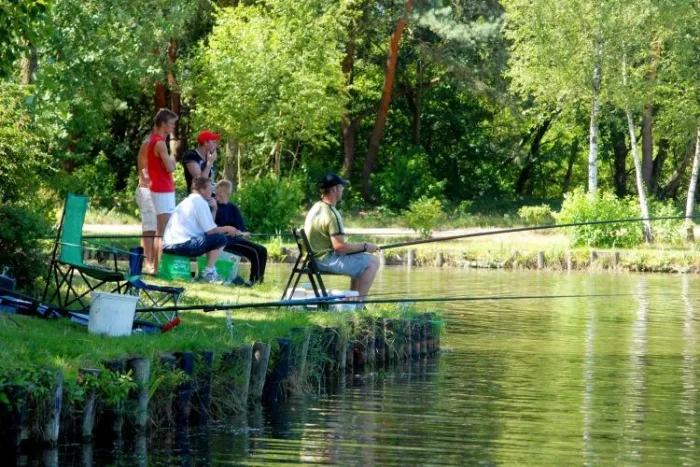 Camping - Mol - Anvers - Zilverstrand