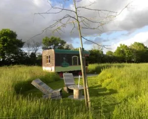 Camping - Le Girouard - Pays de Loire - A l'Orée des Chênes