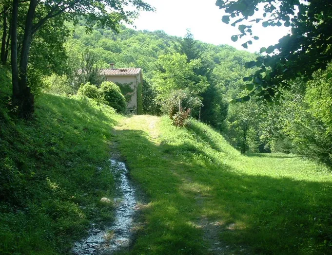 Camping - Riols - Languedoc-Roussillon - Aire Naturelle de Caneyrac
