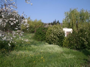 Camping Aire Naturelle Les Cerisiers - Maclas
