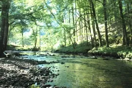Camping - Corrèze - Limousin - Au Bois de Calais