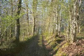 Camping - Corrèze - Limousin - Au Bois de Calais