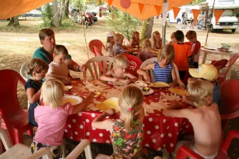 Camping - Andryes - Bourgogne - Au Bois Joli