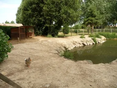 Camping - Brétignolles-sur-Mer - Pays de Loire - Au Bon Accueil