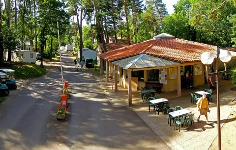 Camping - Aydat - Auvergne - du Lac d'Aydat