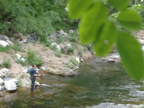 Camping - Vals-les-Bains - Rhône-Alpes - Au Fil de la Volane