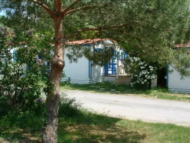 Camping - L'Houmeau - Poitou-Charentes - Au Petit Port de l'Houmeau