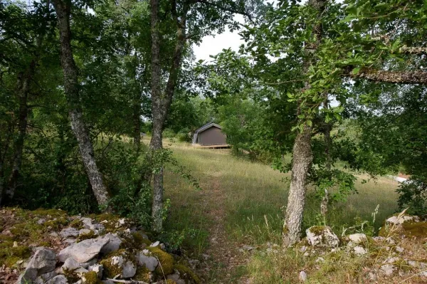 Camping - Sauliac-sur-Célé - Midi-Pyrénées - Aux Lodges du Mas de Nadal