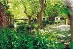Camping - Avignon - Provence-Alpes-Côte d'Azur - Bagatelle