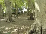 Camping - Avignon - Provence-Alpes-Côte d'Azur - Bagatelle