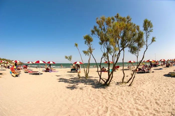 Camping - Bonelli di Porto Tolle - Vénétie - Barricata