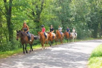 Camping - Saint-Pierre-de-Trivisy - Midi-Pyrénées - base de loisirs La Forêt