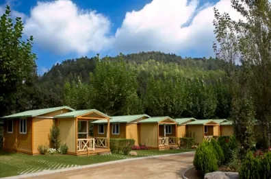 Camping - Albanyà - Costa Brava - Bassegoda Park