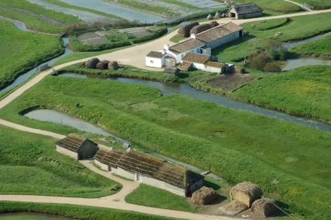 Camping - Notre-Dame-de-Monts - Pays de Loire - Beau Séjour