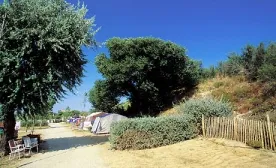 Camping - Marseillan - Languedoc-Roussillon - Beauregard Plage