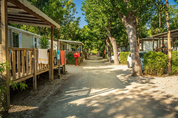 Camping - Argelès-sur-Mer - Languedoc-Roussillon - Beauséjour - Image #22