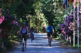 Camping - Calvi - Corse - Bella Vista