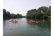 Camping - Montfrin - Languedoc-Roussillon - Belle-rive