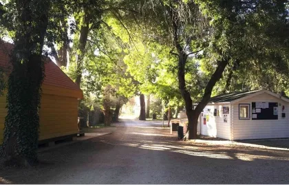 Camping - Montfrin - Languedoc-Roussillon - Belle-rive