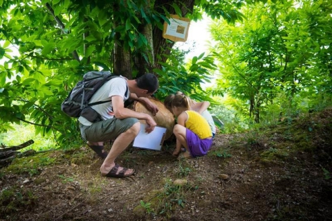 Camping - Saint-Jean-du-Gard - Languedoc-Roussillon - Bivouac Nature