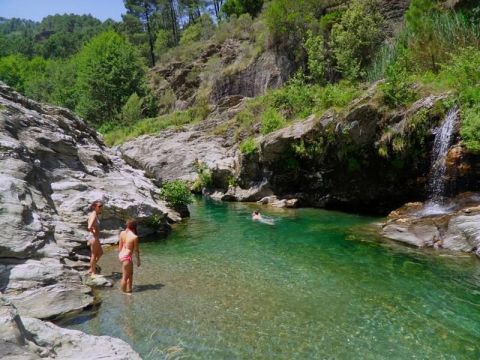 Camping - Saint-Jean-du-Gard - Languedoc-Roussillon - Bivouac Nature