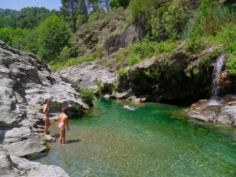 Camping - Saint-Jean-du-Gard - Languedoc-Roussillon - Bivouac Nature