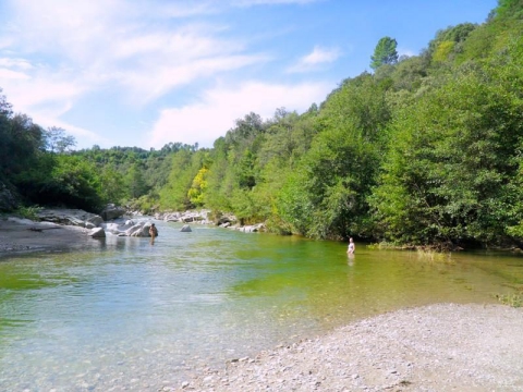 Camping - Saint-Jean-du-Gard - Languedoc-Roussillon - Bivouac Nature
