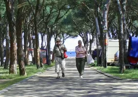 Camping - Blanes - Costa Brava - Blanes